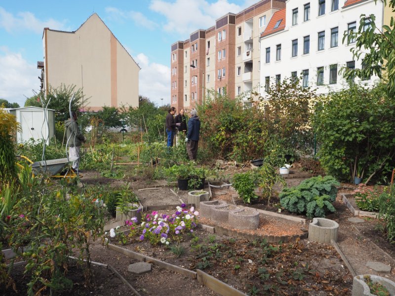 Copyright: Interkultureller Garten Magdeburg e.V.