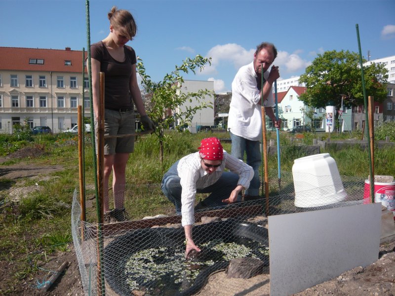 Copyright: Interkultureller Garten Magdeburg e.V.