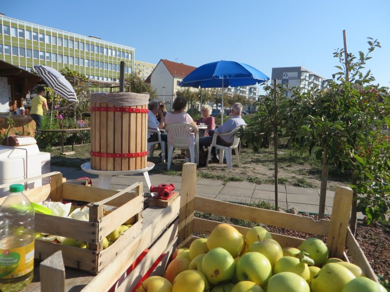 Copyright: Interkultureller Garten Magdeburg e.V.
