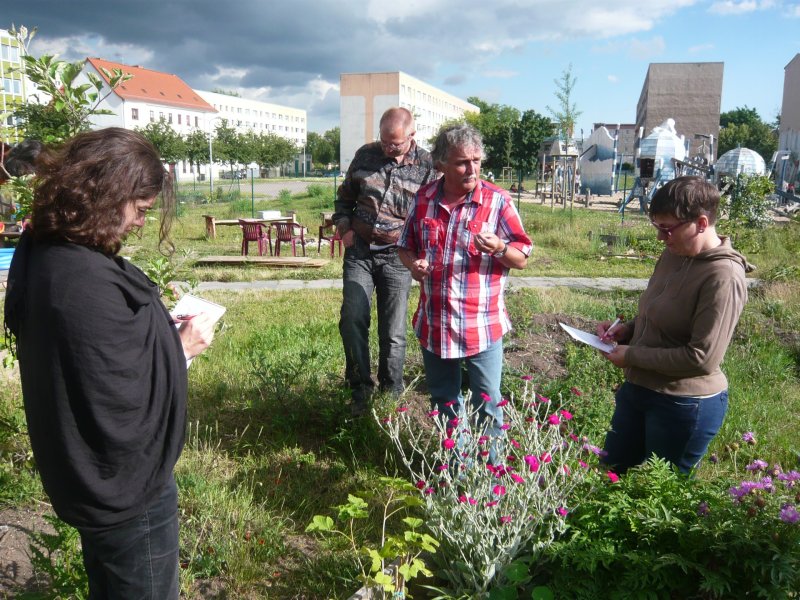 Copyright: Interkultureller Garten Magdeburg e.V.