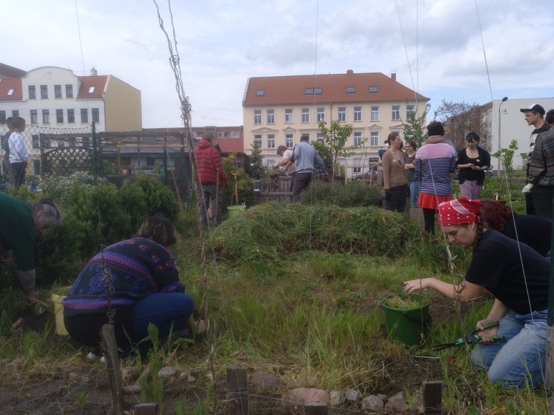 Copyright: Interkultureller Garten Magdeburg e.V.