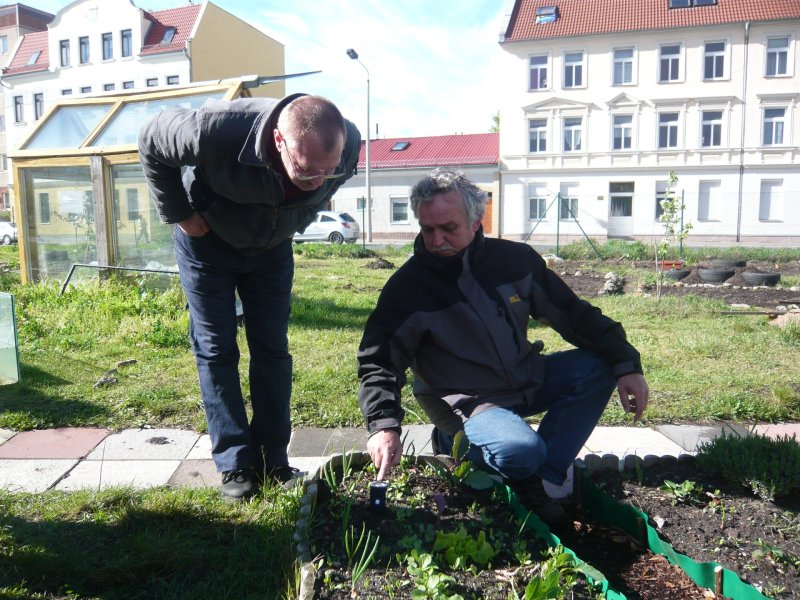 Copyright: Interkultureller Garten Magdeburg e.V.